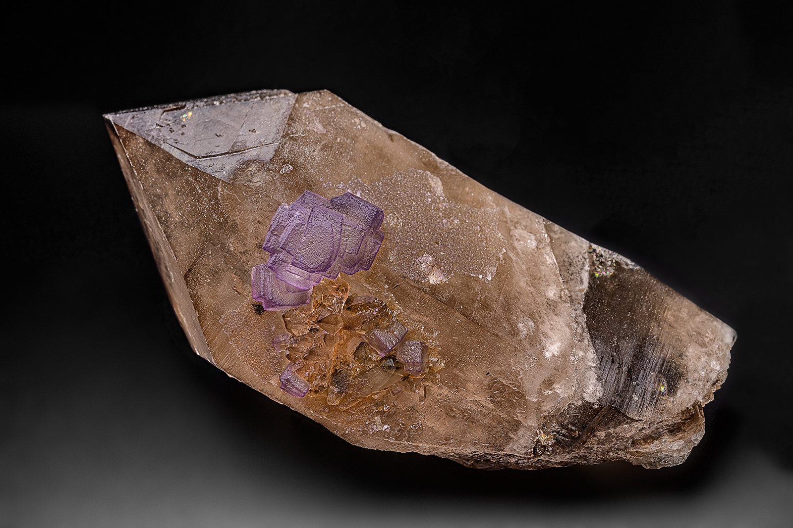 Fluorite, Quartz (variety smoky quartz)
14.9 x 7.1 cm
(Autor: am mizunaka)