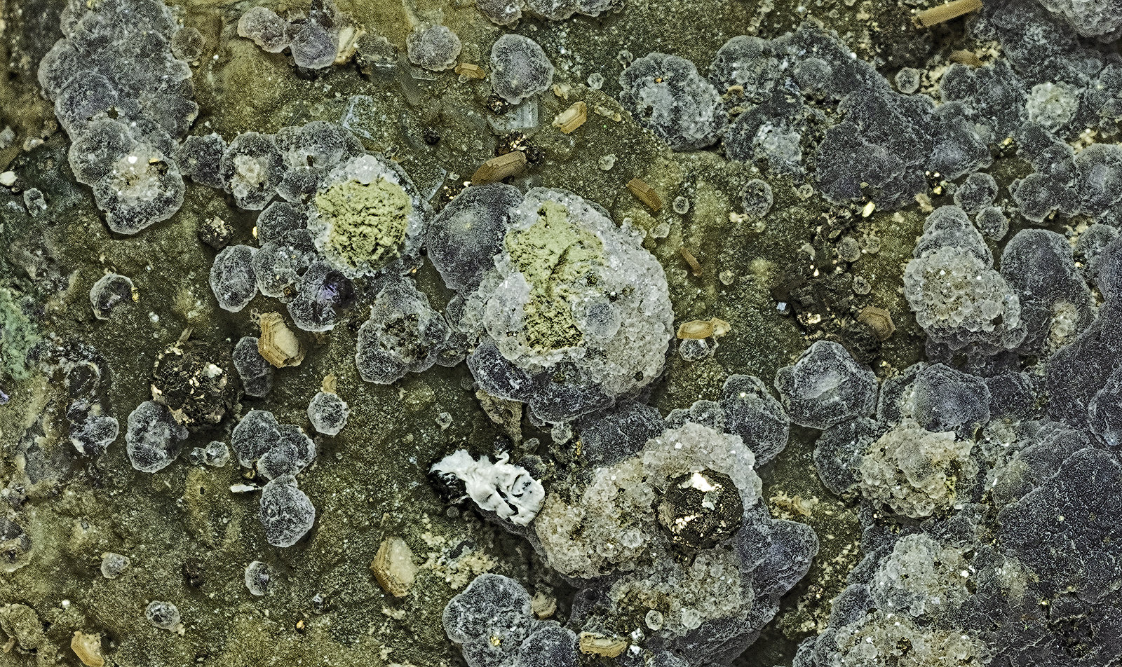 Quartz, Fluorite, Muscovite, Pyrite, Fluorapatite
(Autor: am mizunaka)
