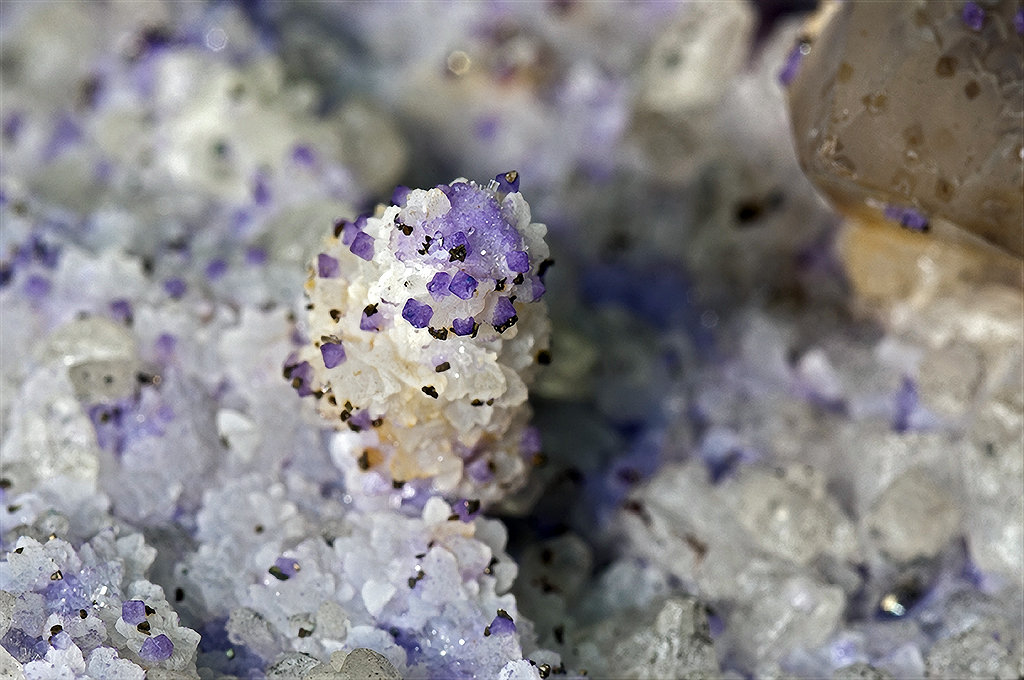 Quartz (variety smoky quartz), Fluorite, Calcite, Marcasite
(Autor: am mizunaka)