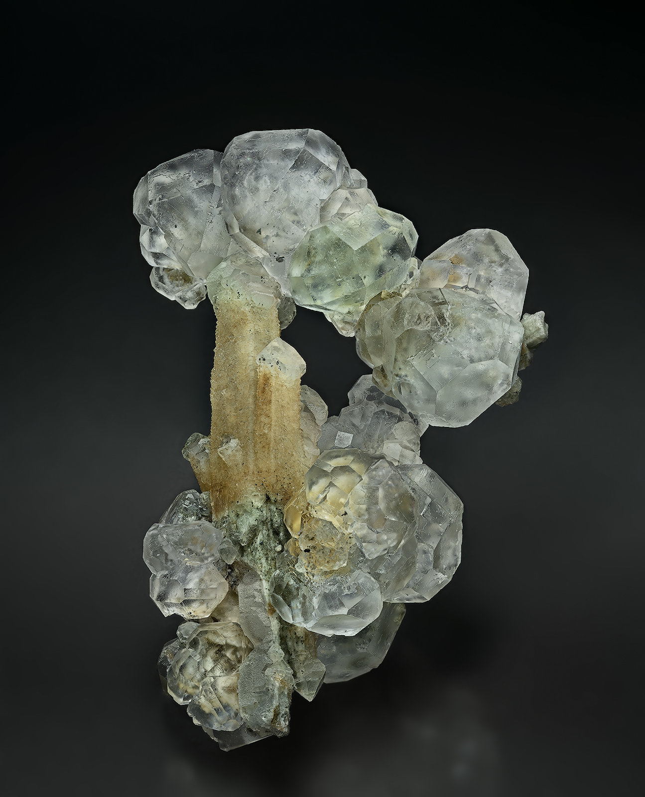 Fluorite, Quartz
10.4 x 7.0 cm
(Autor: am mizunaka)