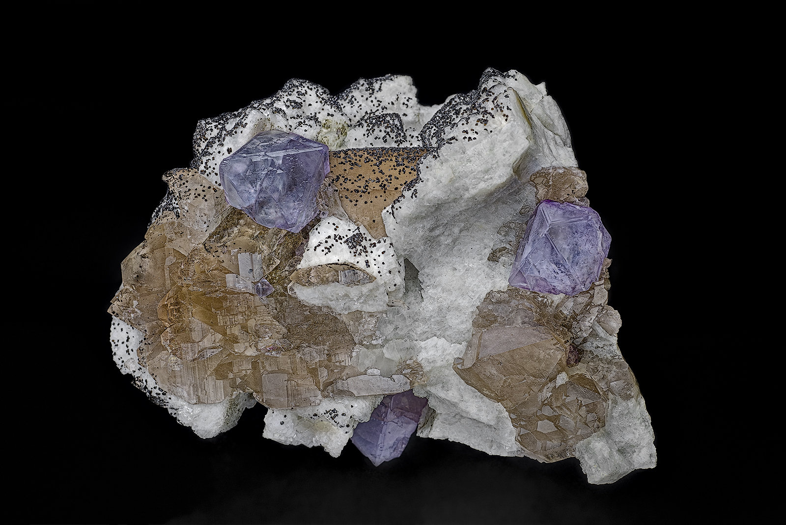 Fluorite, Quartz, Albite, Chlorite
10.1 x 7.6 cm
(Autor: am mizunaka)