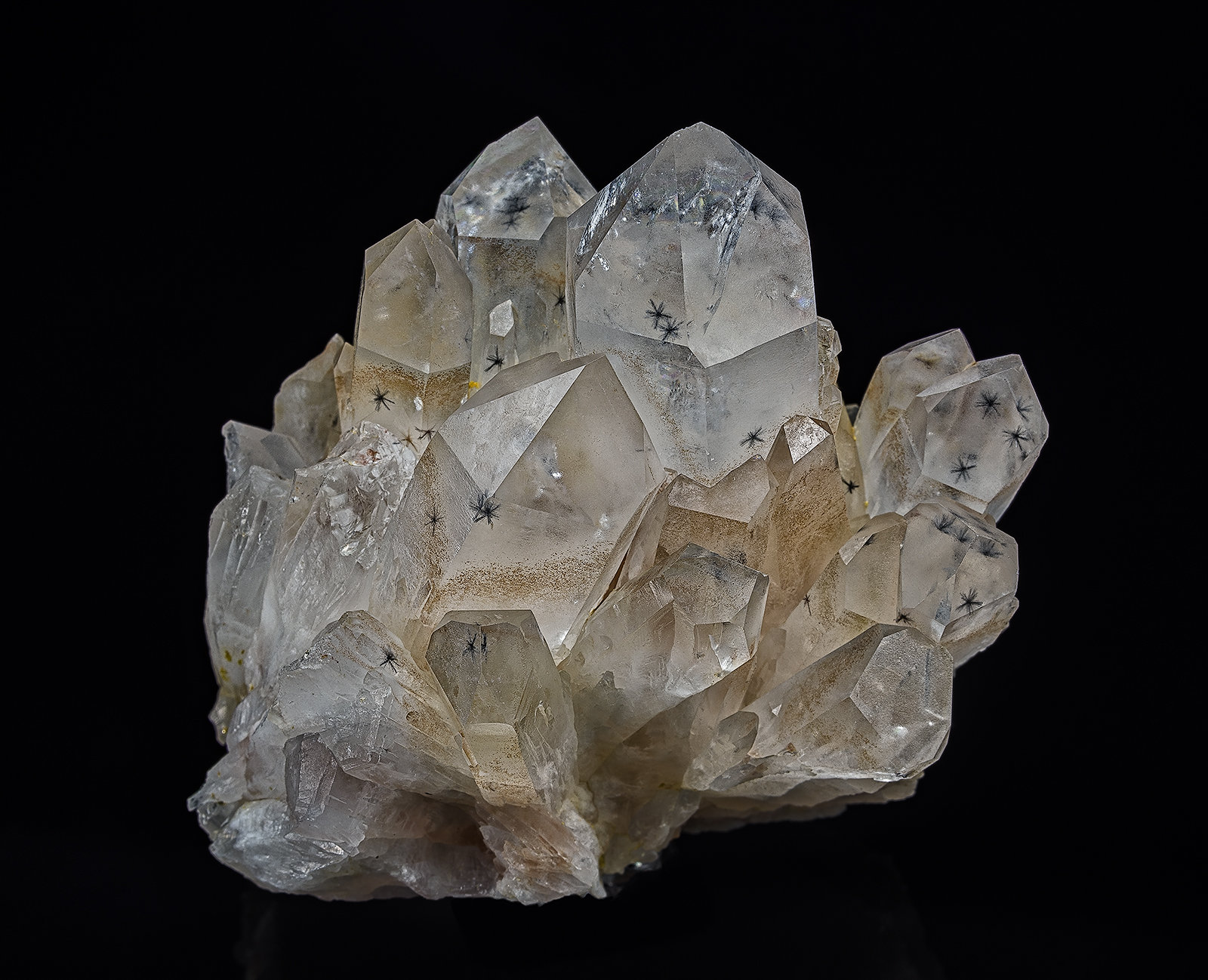 Quartz, Hollandite
5.5 x 5.3 cm
(Autor: am mizunaka)