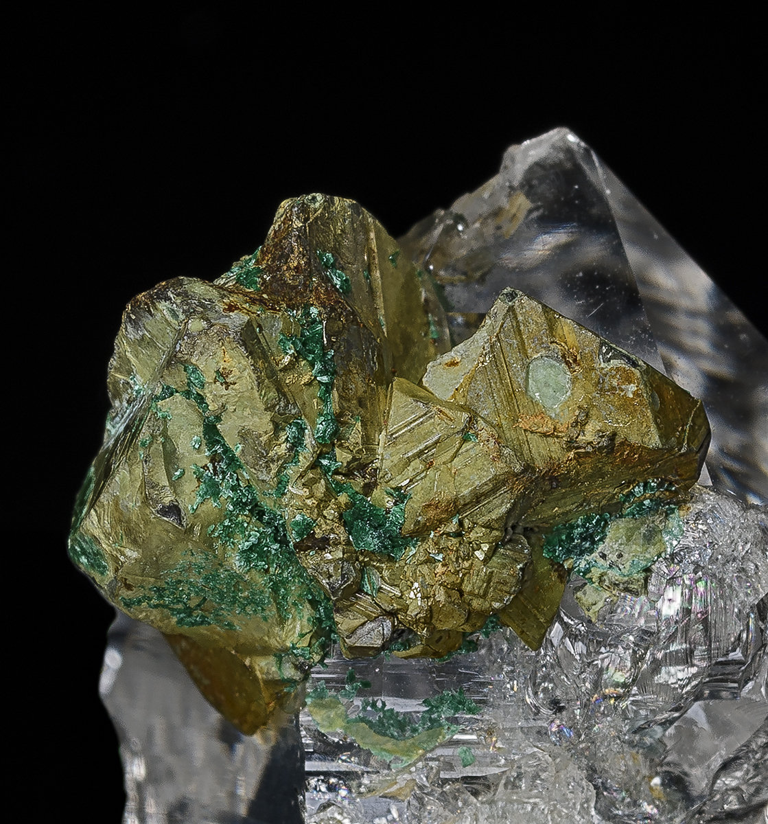 Quartz, Kesterite, Mushistonite
3.8 x 2.5 cm
(Autor: am mizunaka)