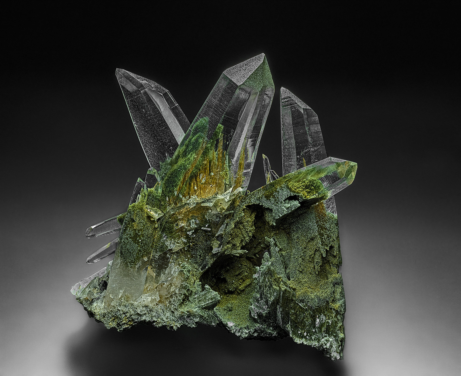Quartz with chlorite inclusions, Rutile
8.1 x 8.9 cm
(Autor: am mizunaka)