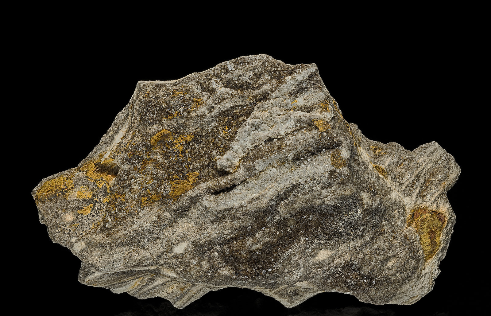 Quartz (variety smoky quartz), Petrified Wood
13.0 x 7.8 cm
(Autor: am mizunaka)