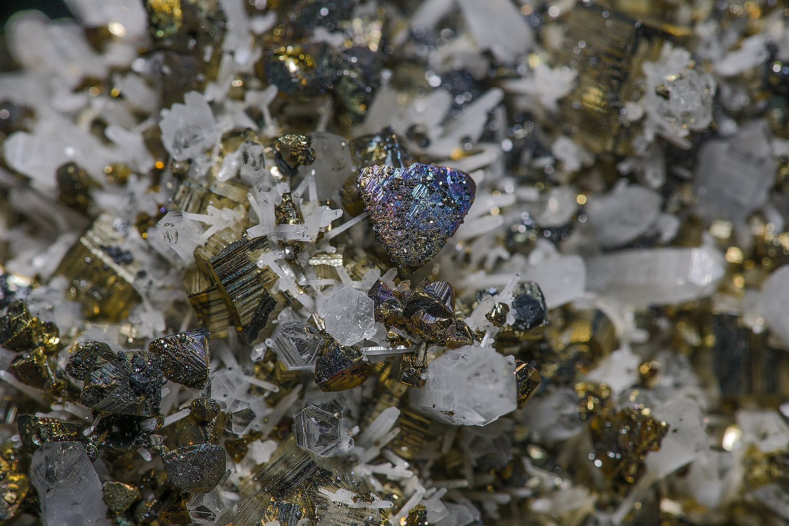 Quartz, Pyrite
(Autor: am mizunaka)