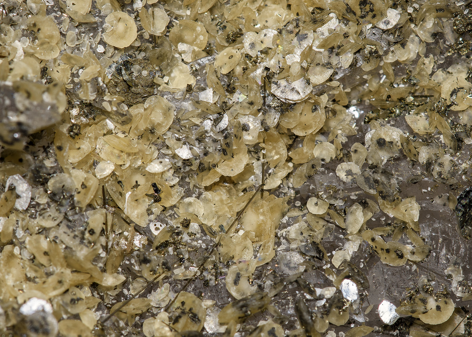 Quartz, Siderite, Chalcopyrite, Dravite
(Autor: am mizunaka)