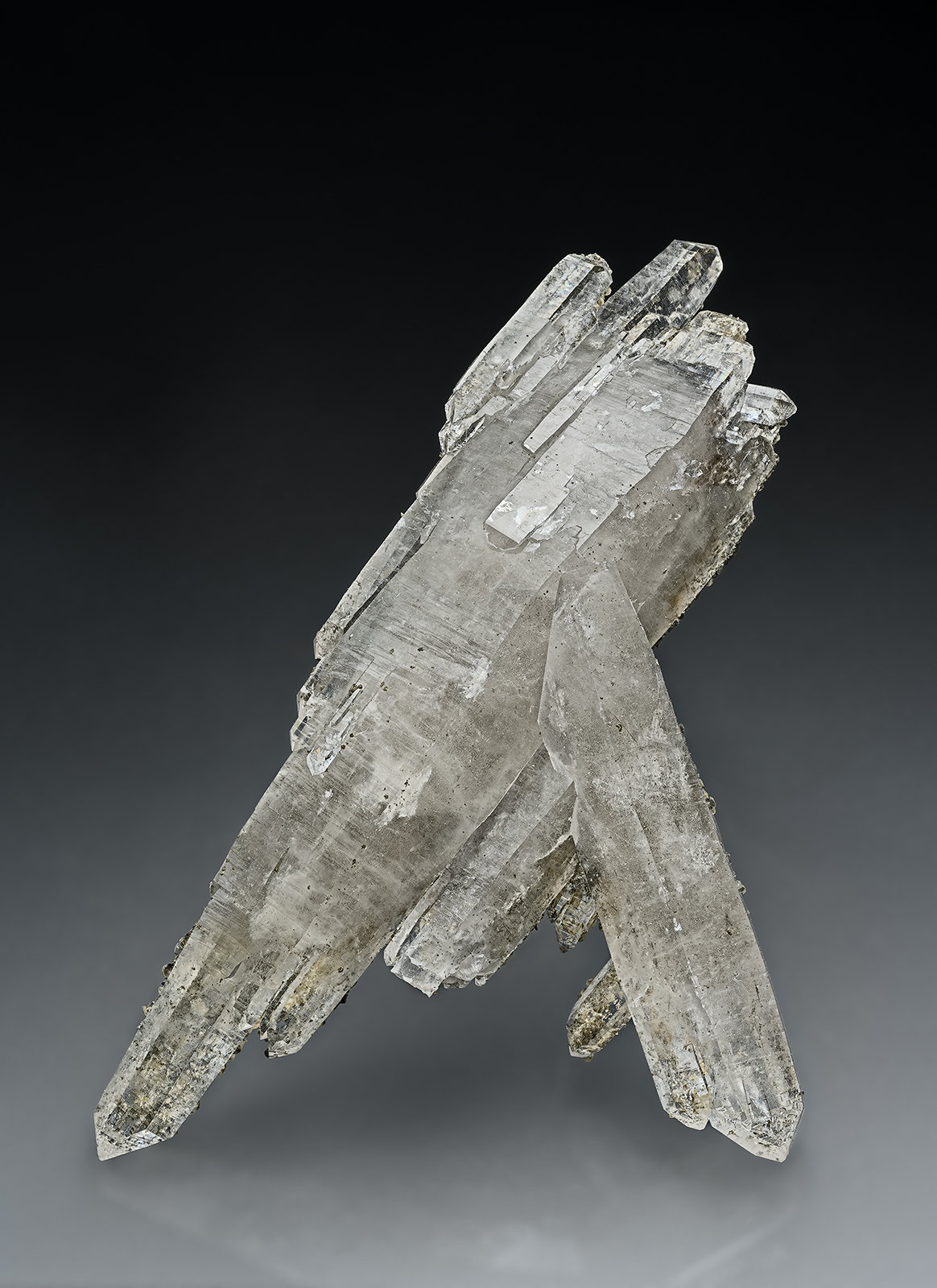 Quartz, Siderite, Chalcopyrite, Dravite
15.8 x 9.6 cm
(Autor: am mizunaka)