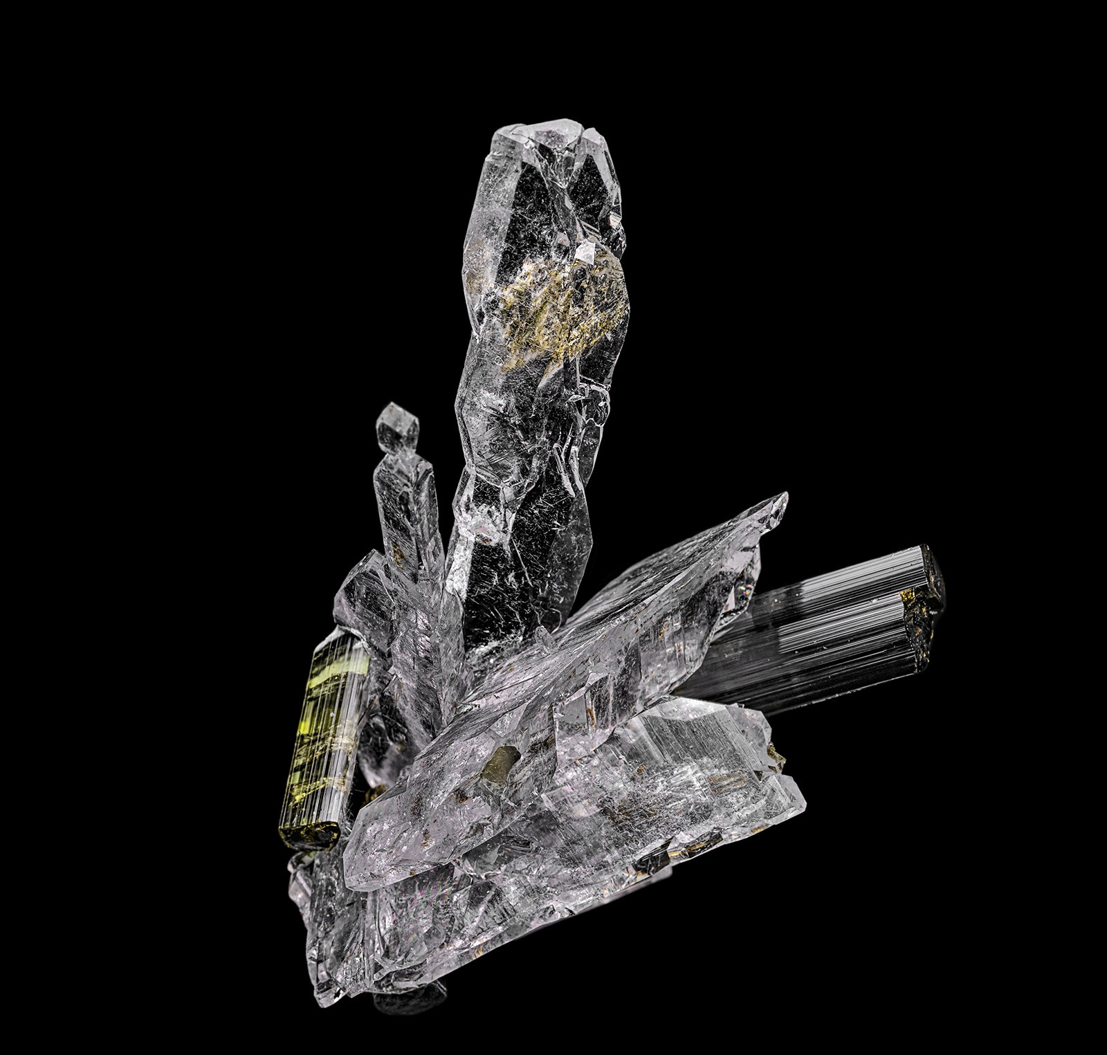 Quartz, Tourmaline
6.4 x 5.7 cm
(Autor: am mizunaka)