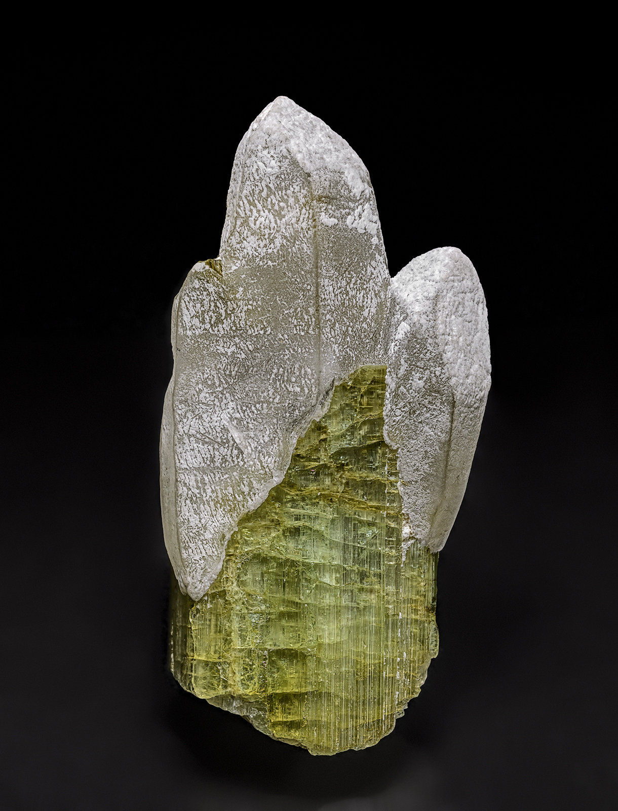Quartz, Elbaite
5.3 x 2.4 cm
(Autor: am mizunaka)
