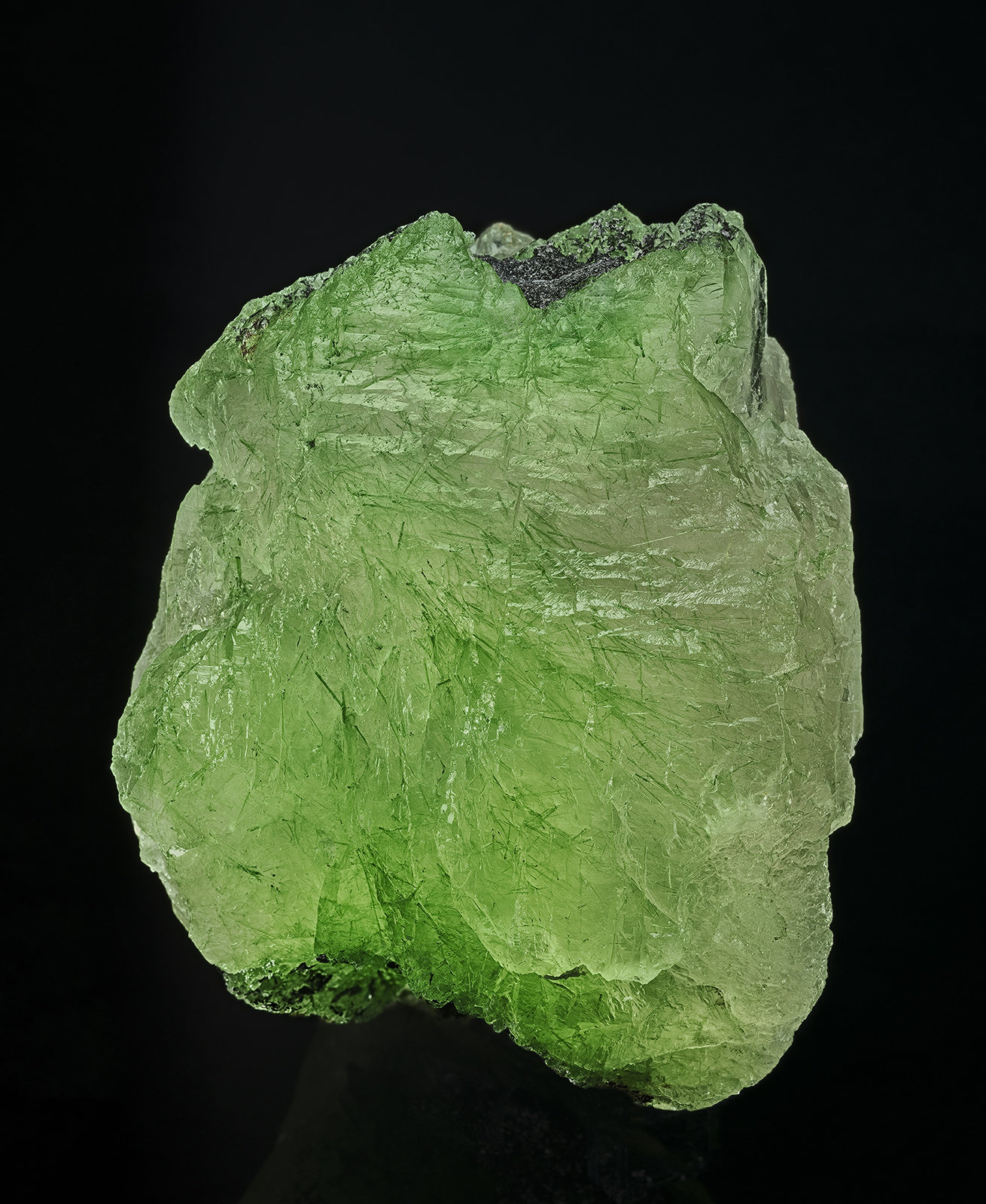 Quartz, Tremolite, Graphite
9.0 x 11.2 cm
(Autor: am mizunaka)