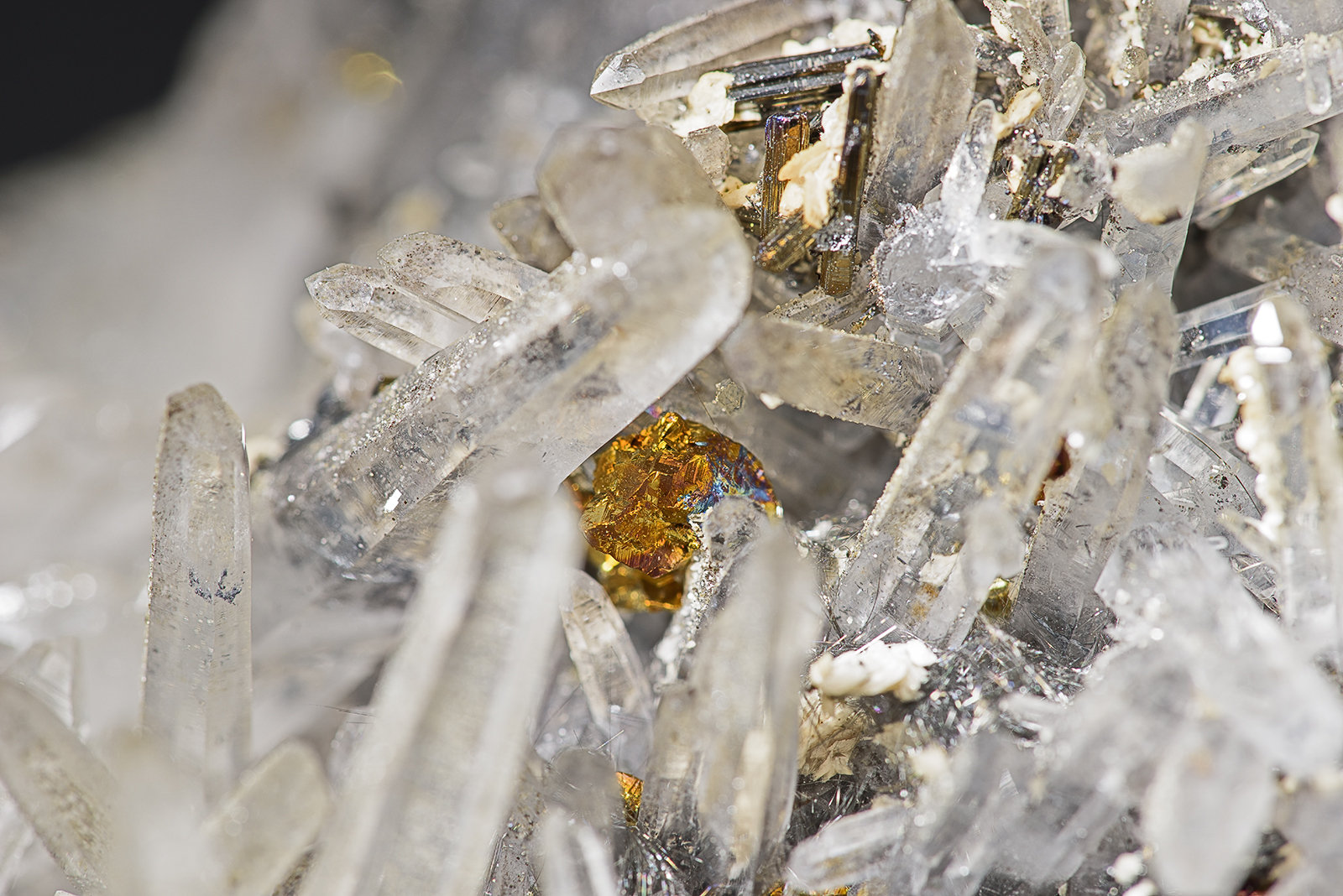 Quartz, Chalcopyrite, Feberite, Boulangerite
(Autor: am mizunaka)