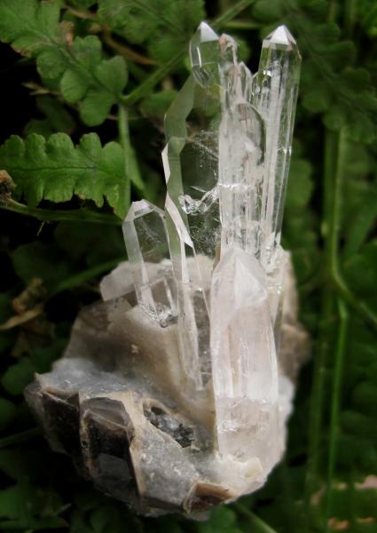 (Autor: José Miguel)