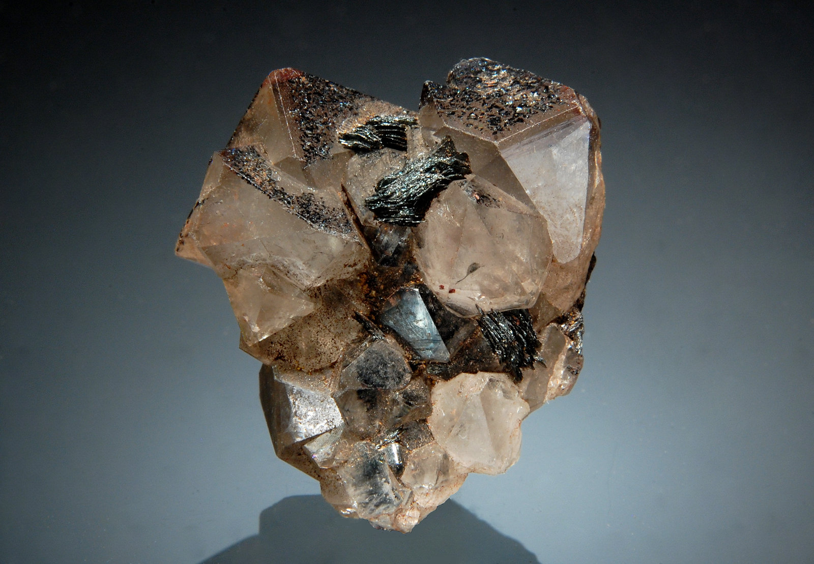 Quartz and Hematite
2.5 x 2.8 cm
(Autor: Michael Shaw)