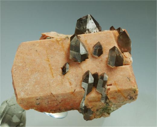 Microcline with Quartz (variety smoky quartz)
5 cm width.
(Autor: Joan R.)