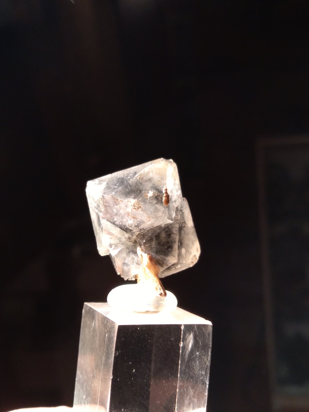 Quartz
25 mm x 25 mm
(Autor: Sante Celiberti)