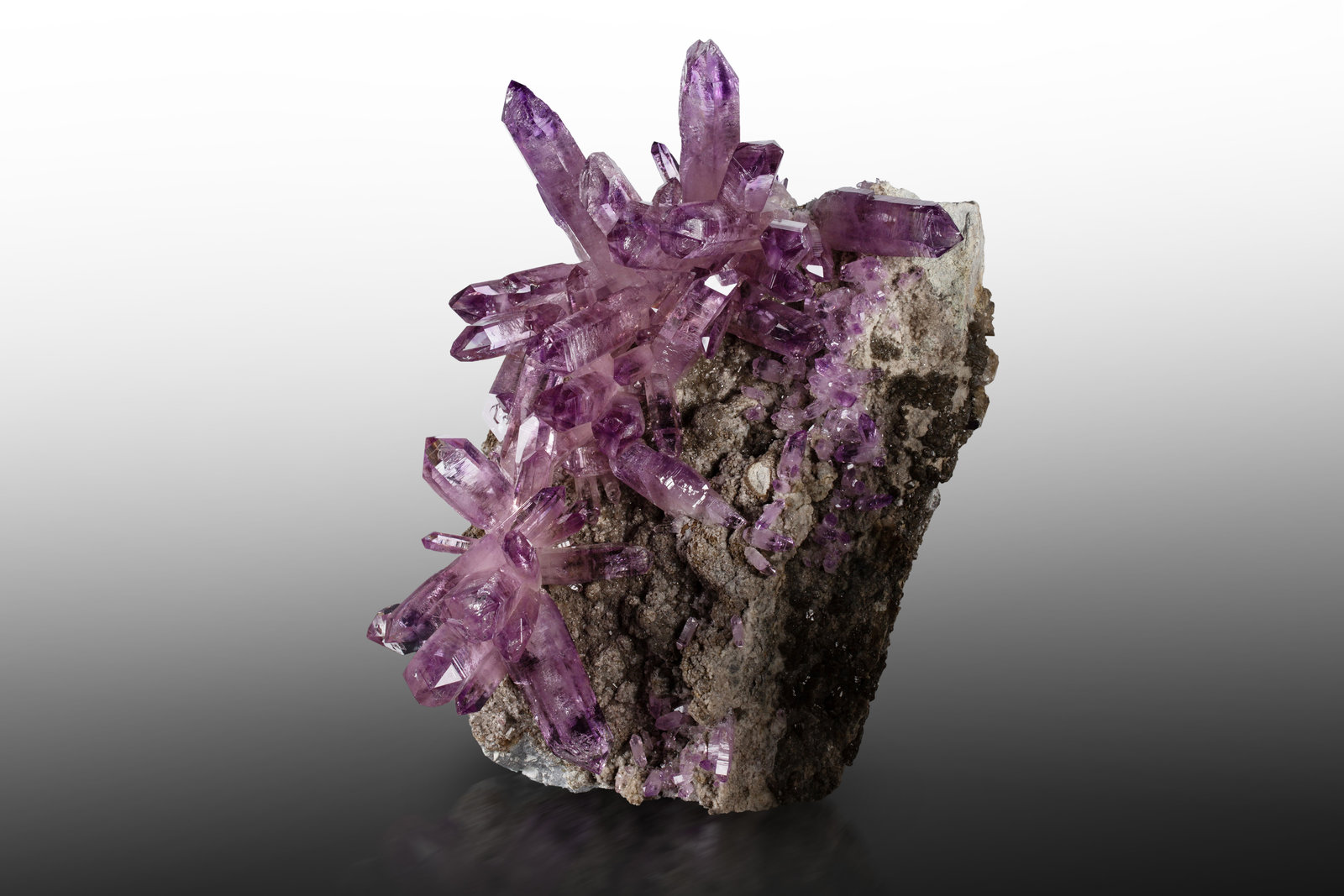 Quartz (variety amethyst)
19 x 16 x 25 cm / main crystal: 8.0 cm
(Autor: MIM Museum)