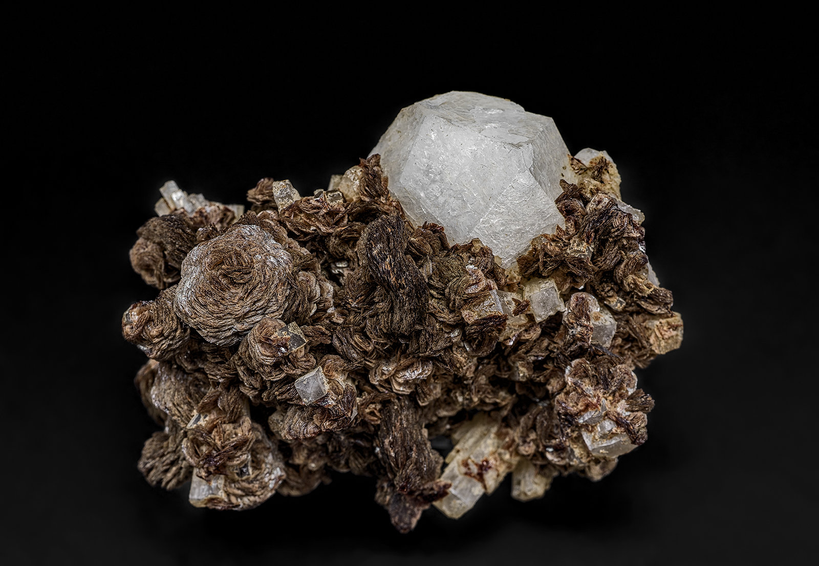 Rhodochrosite, Analcime, Natrolite
4.8 x 3.7 cm
(Autor: am mizunaka)