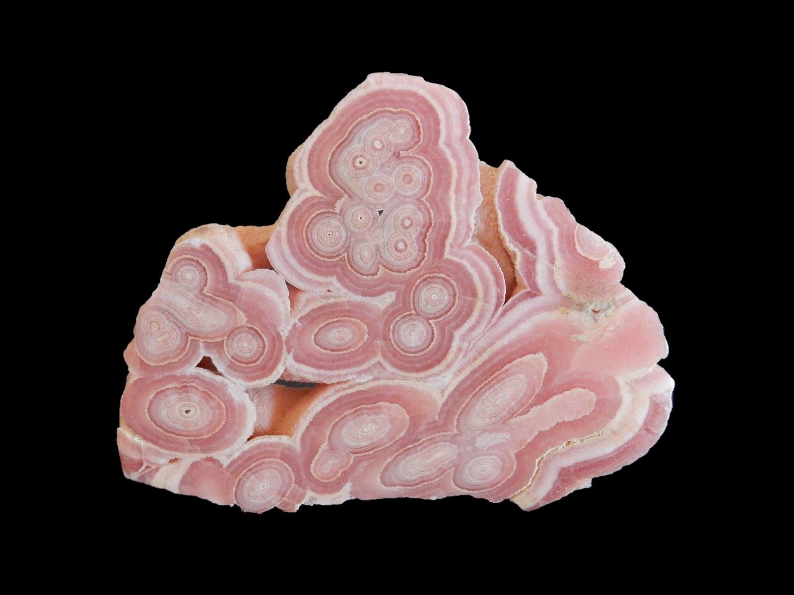 Rhodochrosite
90x60x5 mm
(Autor: Dany Mabillard)