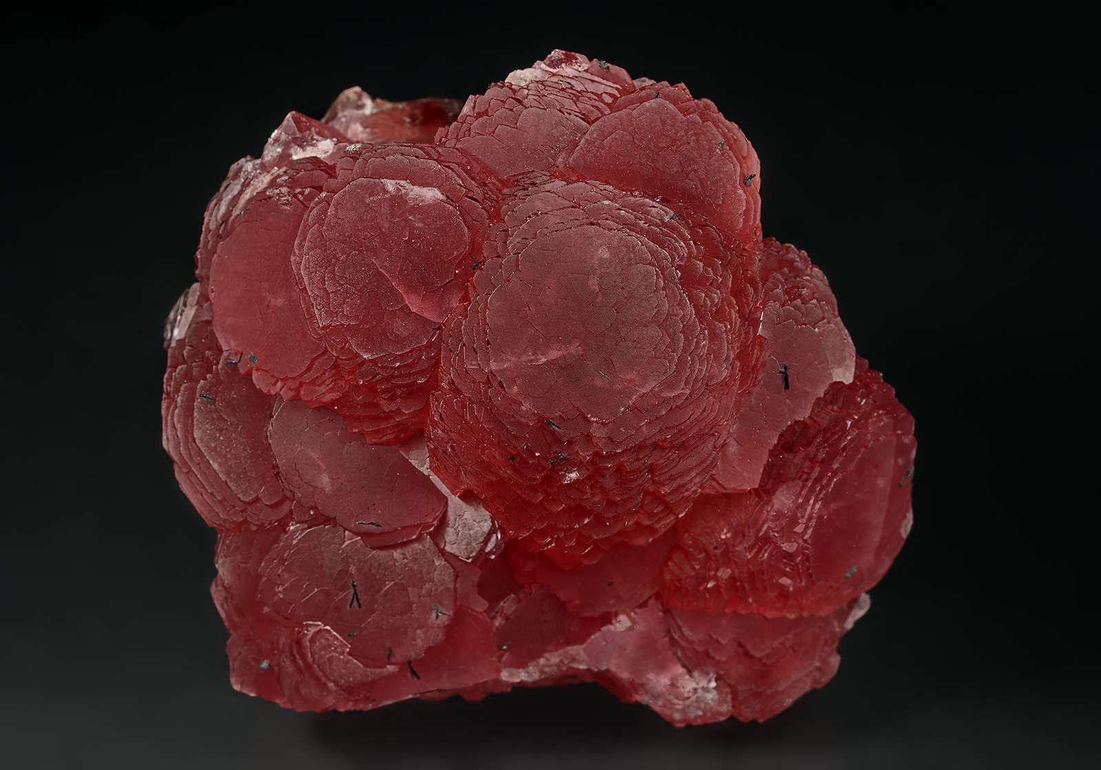 Rhodochrosite
5.5 x 5.0 cm
(Autor: am mizunaka)