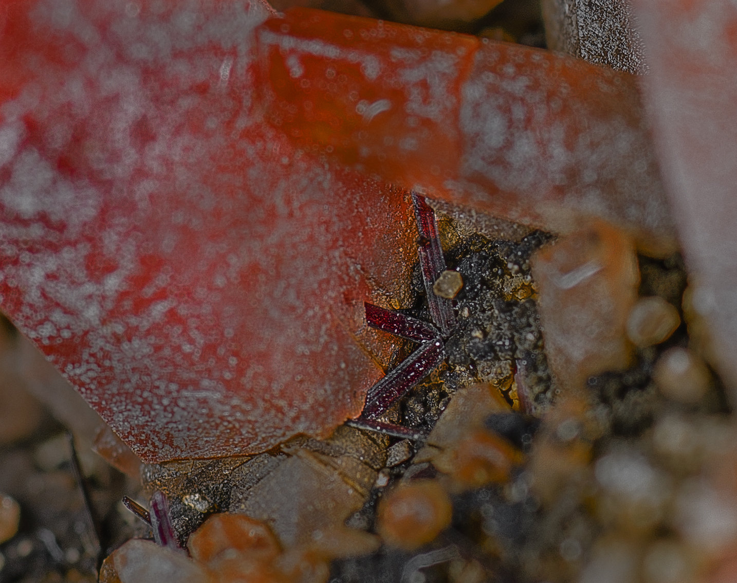 Rhodochrosite, Hübnerite
4.4 x 3.7 cm
(Autor: am mizunaka)