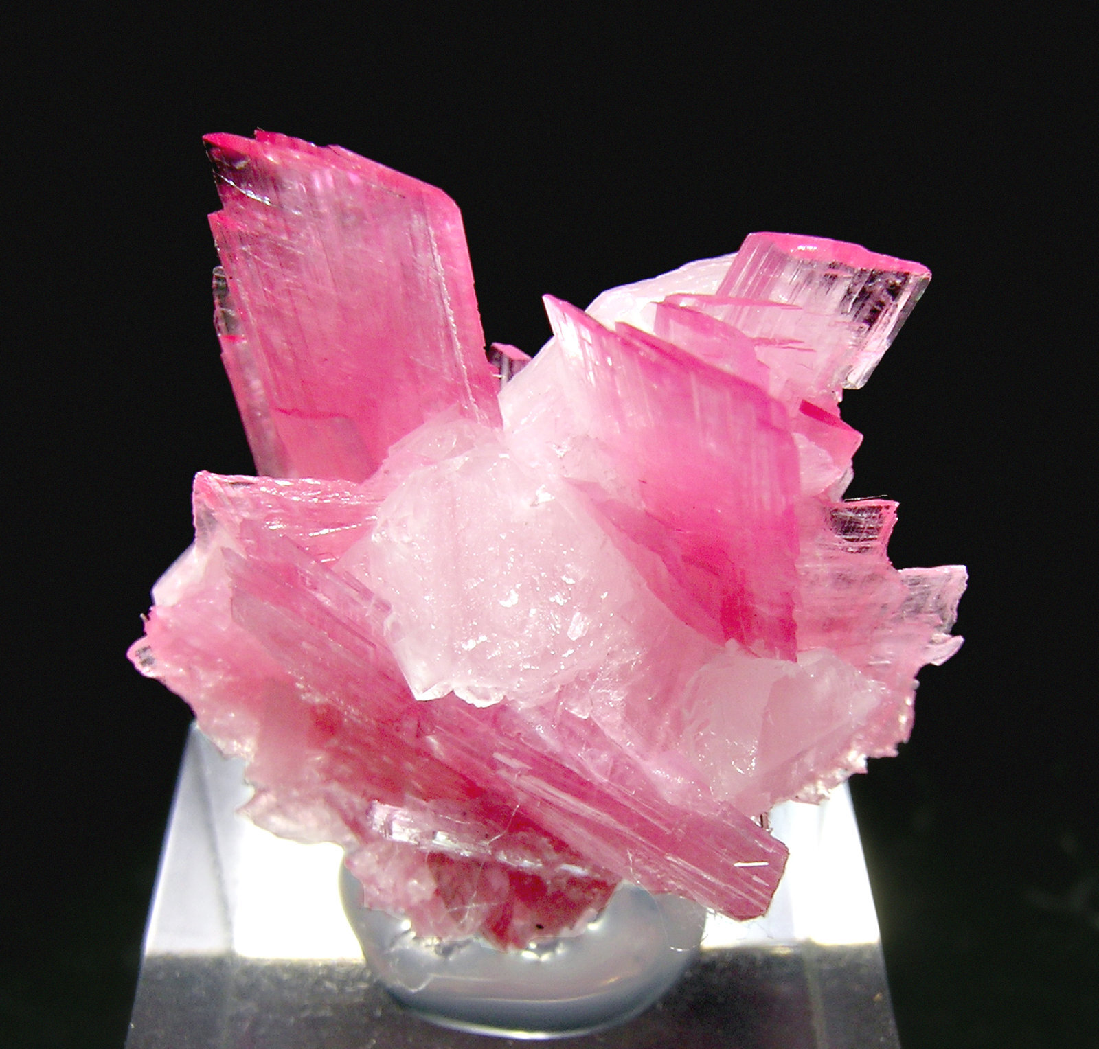 Rhodonite on Calcite
Specimen size: 2.1 × 2.1 × 1.6 cm / main crystal size: 1.3 × 0.7 cm
(Autor: Jordi Fabre)