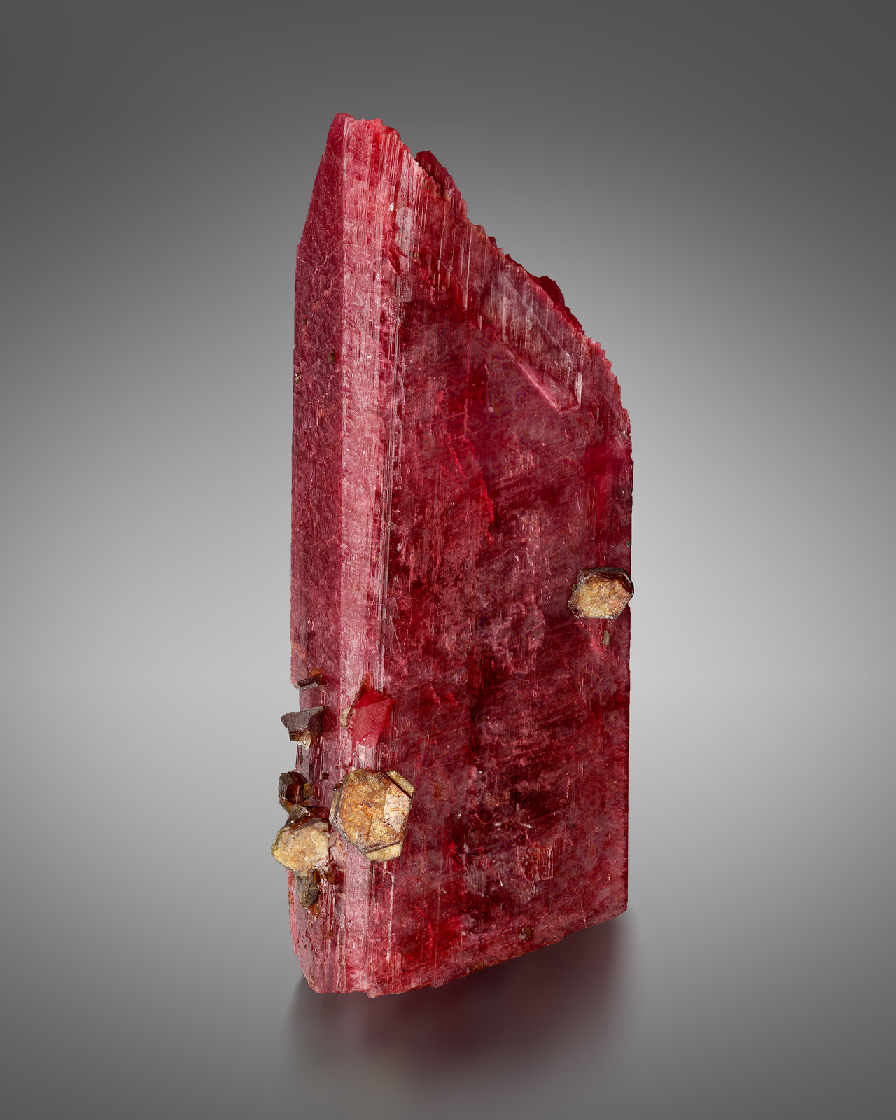 Rhodonite
3.5 x 2.5 x 9.5 cm / main crystal: 9.5 cm
(Autor: MIM Museum)