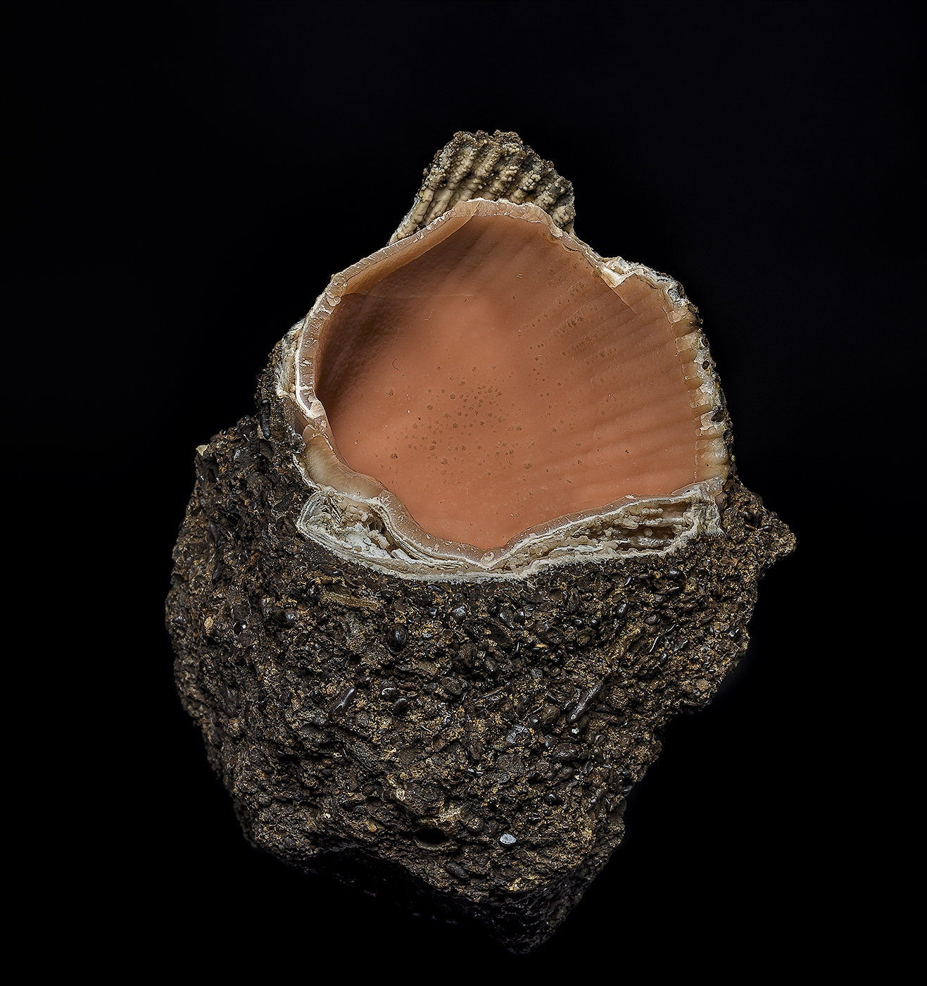 Rhodochrosite
6.4 x 6.0 cm
(Autor: am mizunaka)