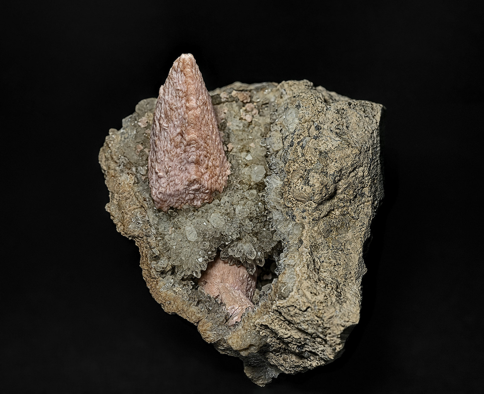 Rhodochrosite, Quartz
6.8 x 6.0 cm
(Autor: am mizunaka)