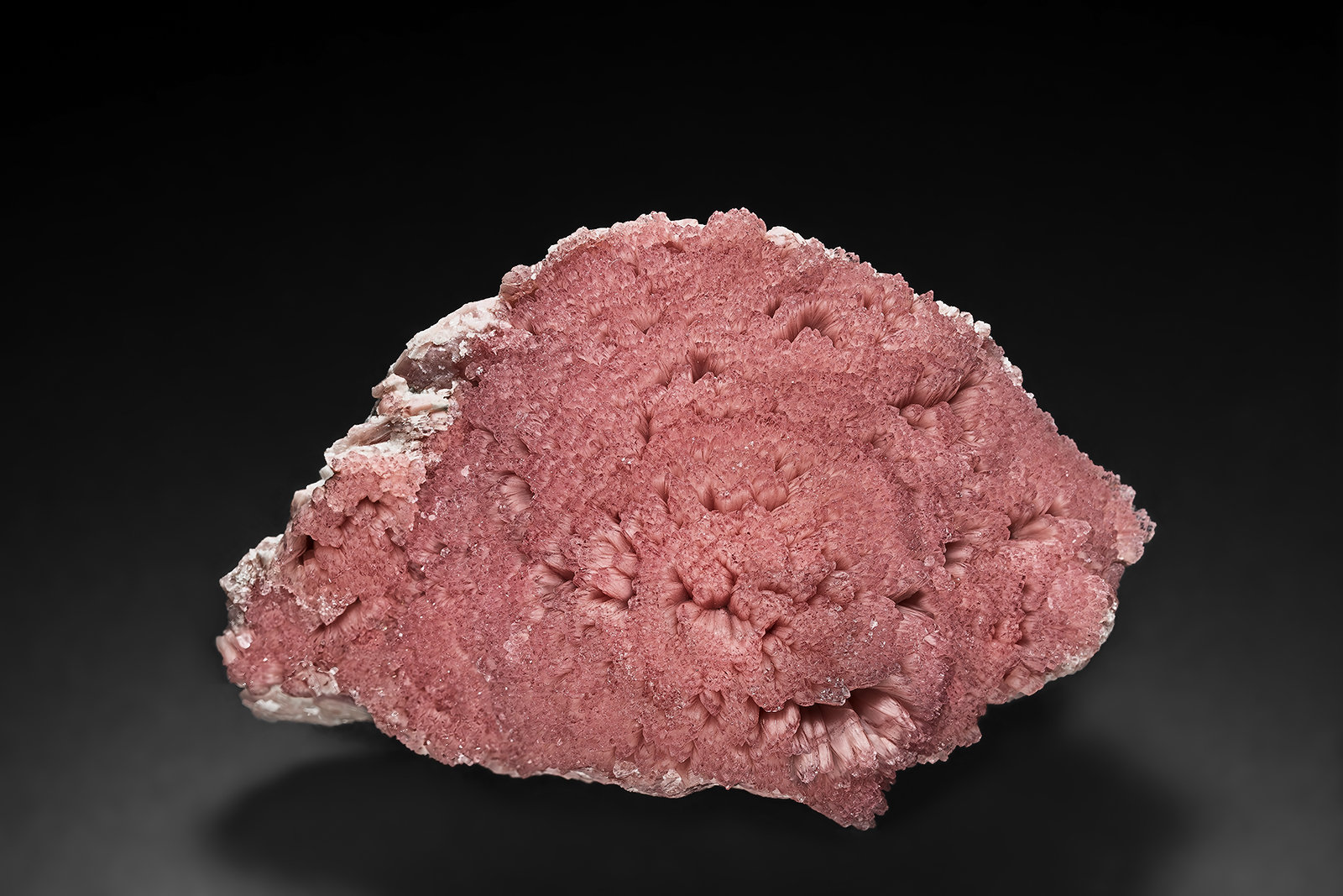 Rhodochrosite
7.0 x 4.2 cm
(Autor: am mizunaka)