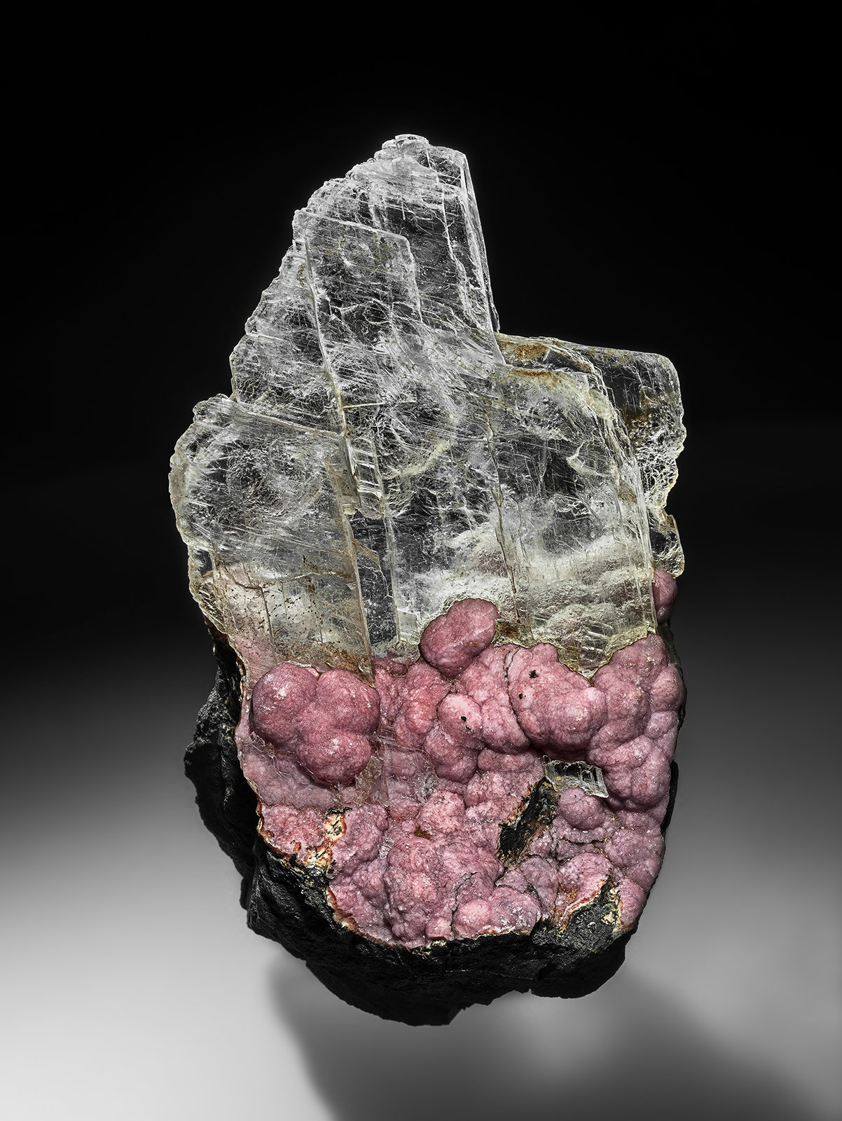 Rhodochrosite, Gypsum (variety selenite)
15.0 x 9.0 cm
(Autor: am mizunaka)