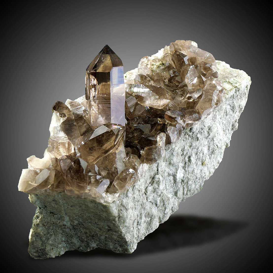 Smoky quartz
Specimen size 16,5 cm, largest crystal 6 cm
(Autor: Tobi)