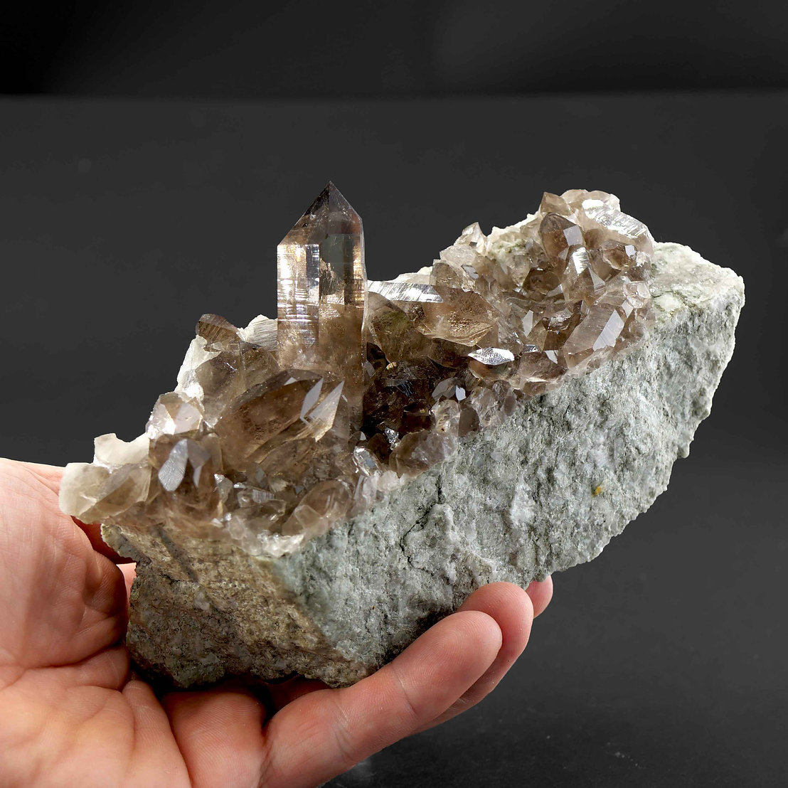 Smoky quartz
Specimen size 16,5 cm, largest crystal 6 cm
(Autor: Tobi)