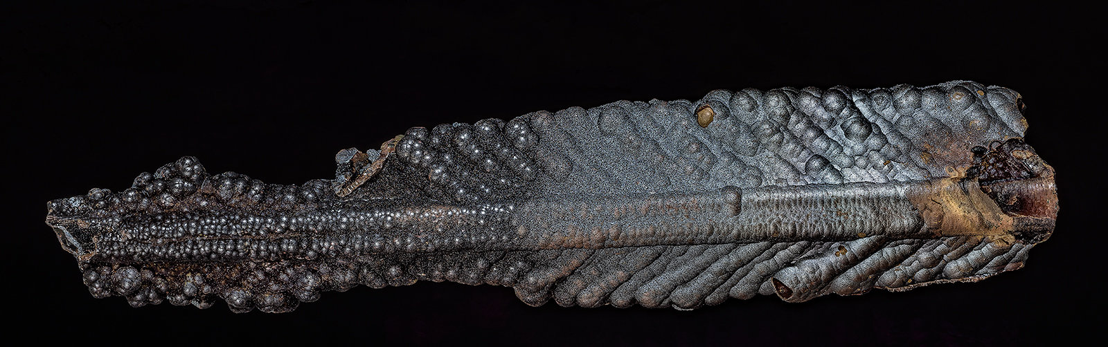 Romanèchite, Goethite, Gypsum
11.4 x 2.5 cm
(Autor: am mizunaka)