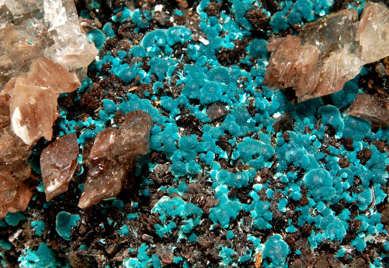 Rosasite
5.7 x  x 8.8 cm (FOV=3.6 cm)
(Autor: Michael Shaw)