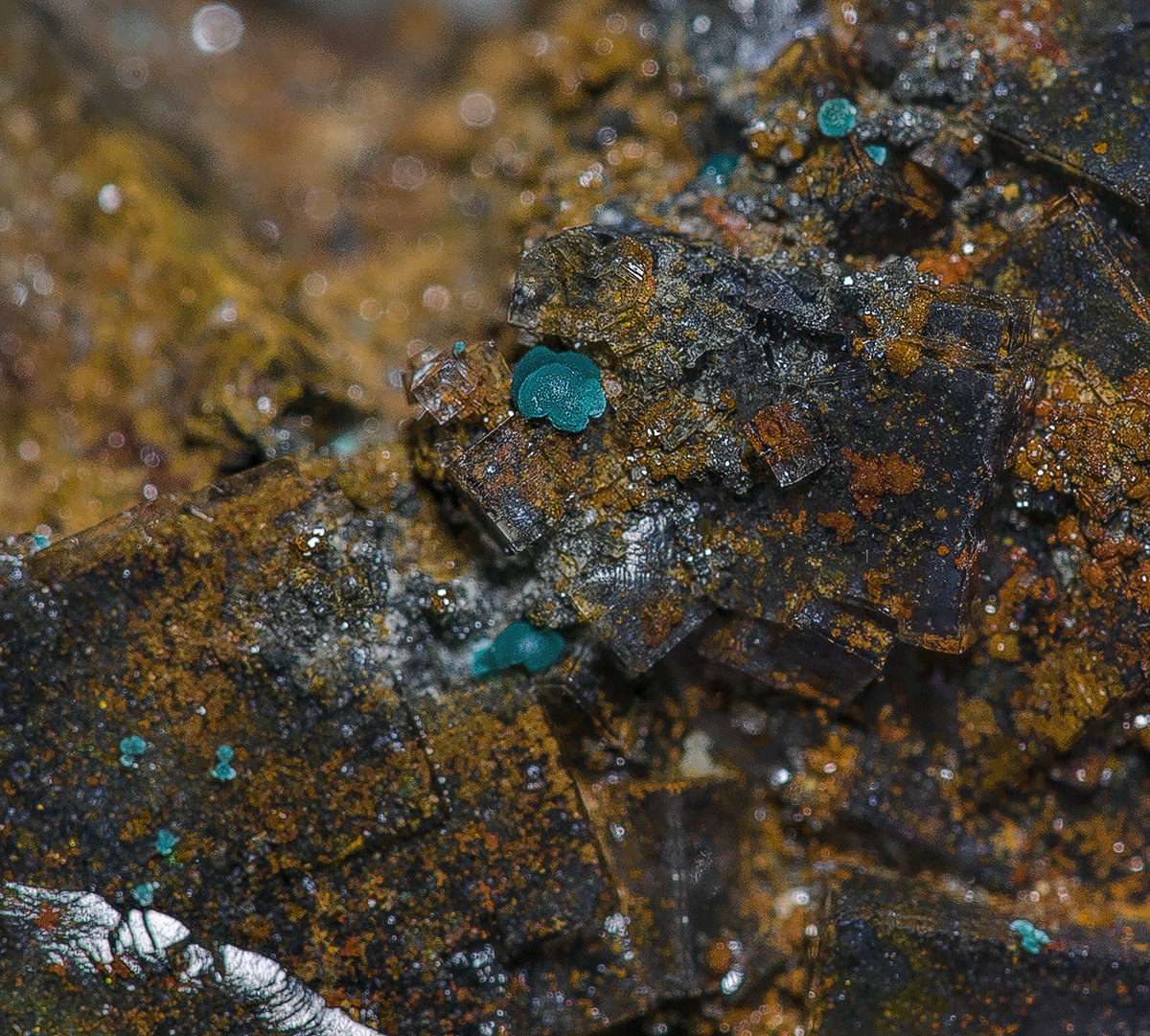 Fluorite, Calcite, Rosasite
9.7 x 6.4 cm
(Autor: am mizunaka)