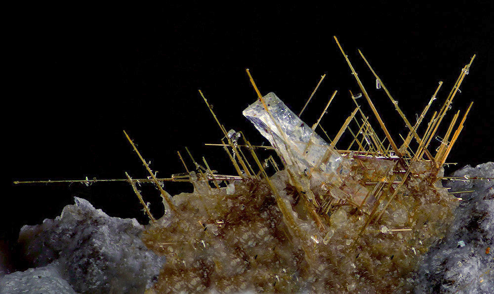 Rutile (variety sagenite)
FOV 3,8 mm
(Autor: Gerhard Brandstetter)