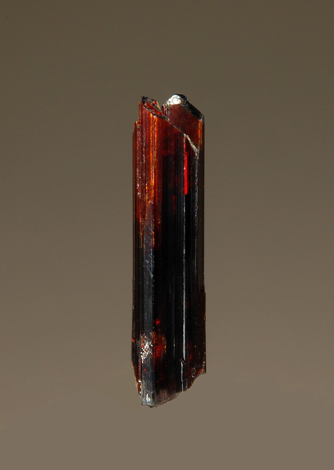Rutile
2.0 cm tall
(Autor: Michael Shaw)