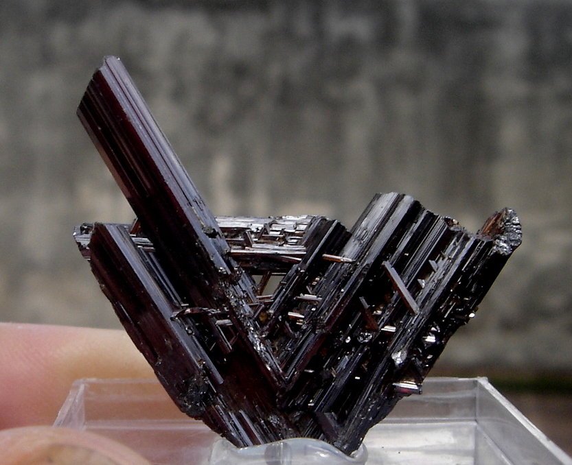 Rutile
4 x 4 x 0,7 cm
(Autor: Anísio Cláudio)