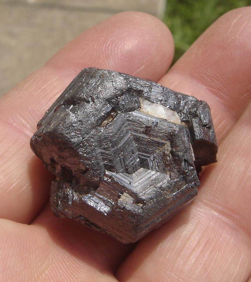 Rutile
2,8 x 2,8 x 2 cm
(Autor: Anísio Cláudio)