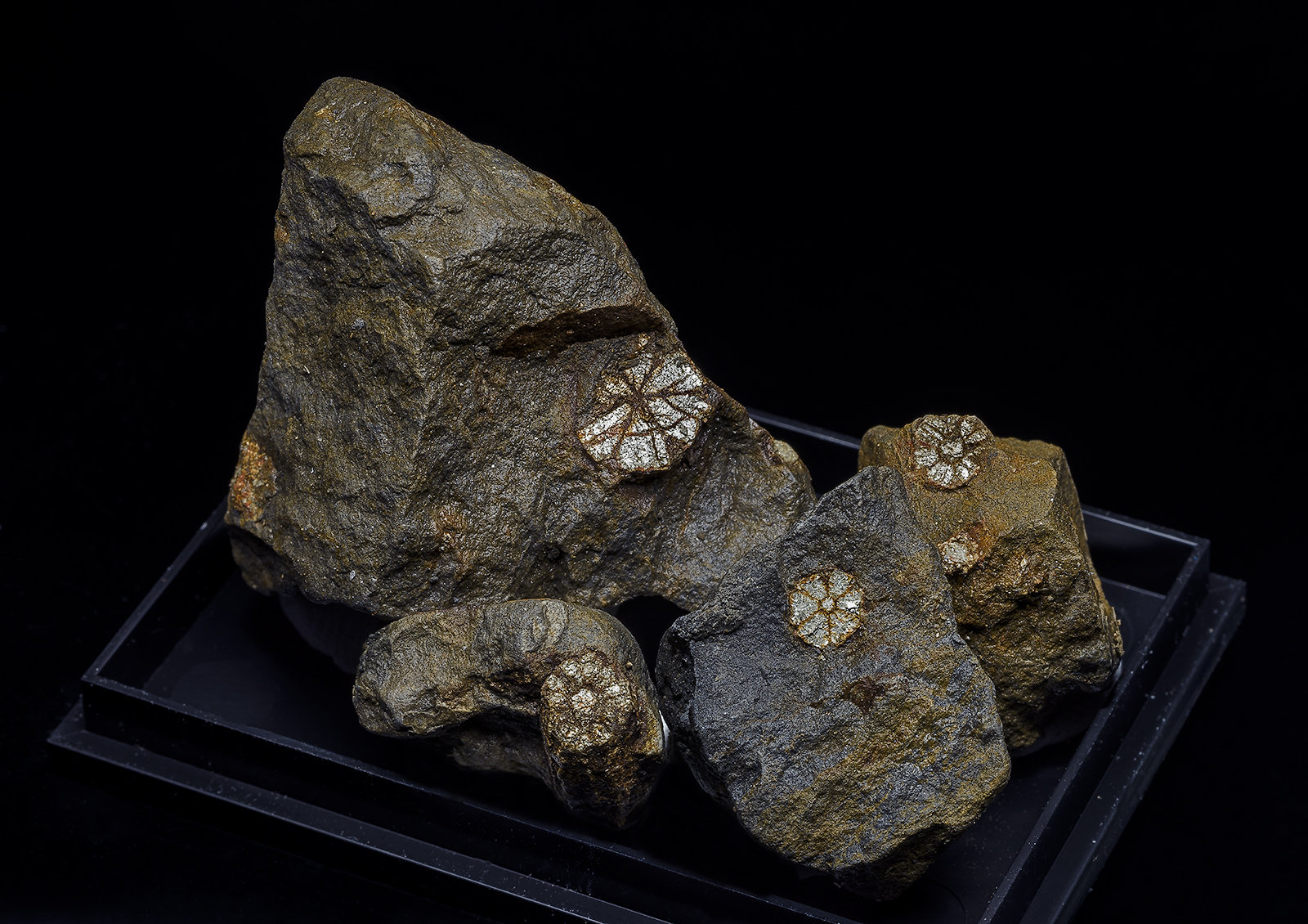 Mica
5.5 x 3.7 cm
(Autor: am mizunaka)