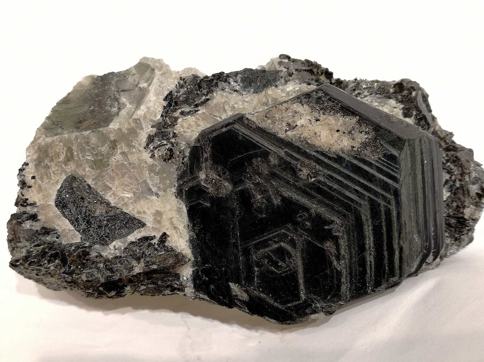 Sapphirine on Quartz
Sapphirine deposit, Vangaindrano pegmatites, Vangaindrano District, Atsimo-Atsinanana Region, Madagascar
10 cm
(Autor: Knut Eldjarn)