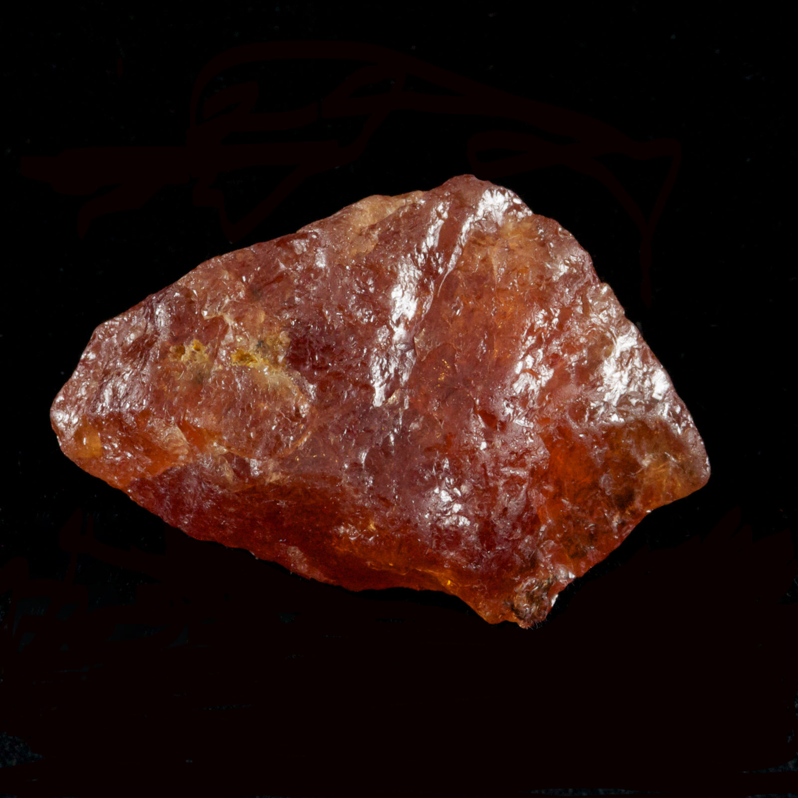 Grossular var. hessonite (Garnet Group)
22  X 18 X 11 MM
(Autor: steven calamuci)