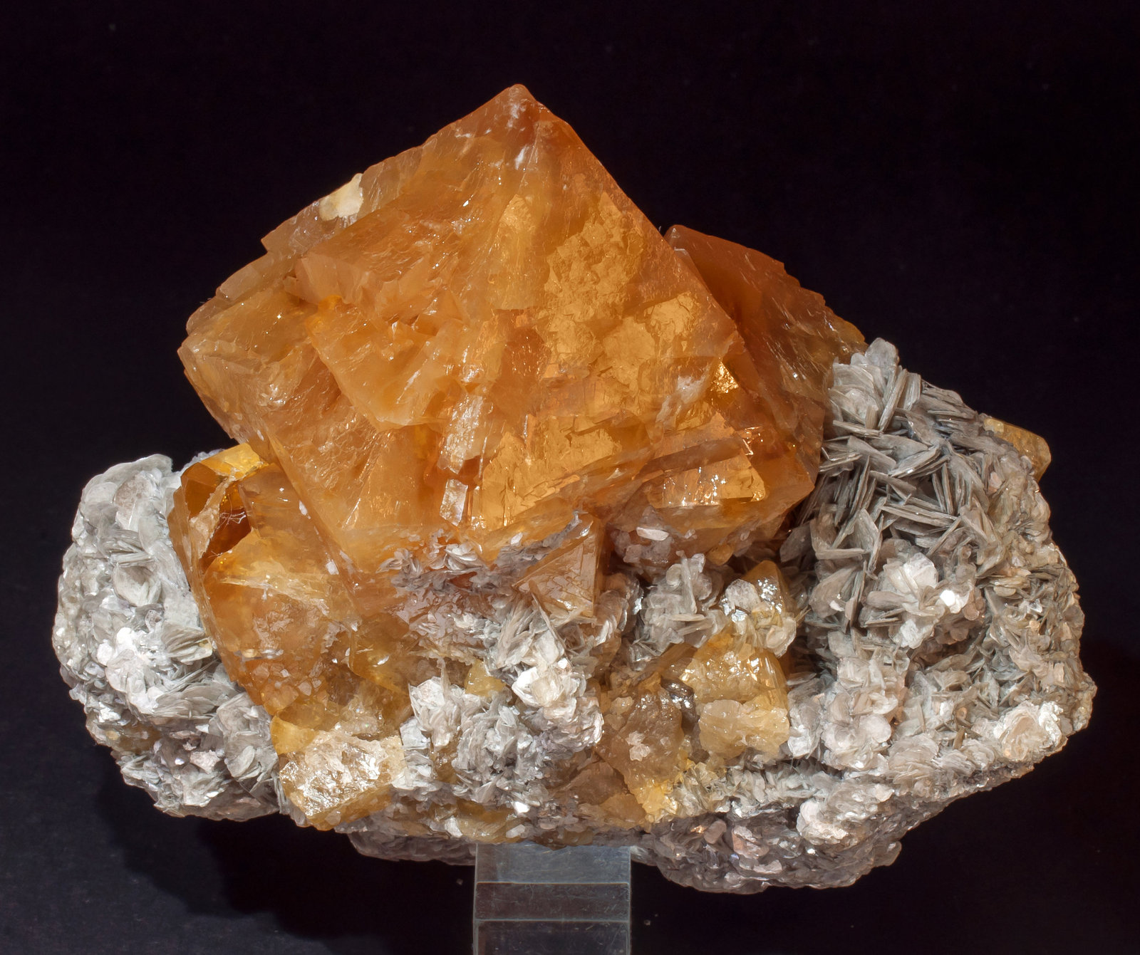 Scheelite on Muscovite
Specimen size: 13.2 × 11.6 × 8.6 cm / main crystal size: 7.2 × 6.6 cm
(Autor: Jordi Fabre)