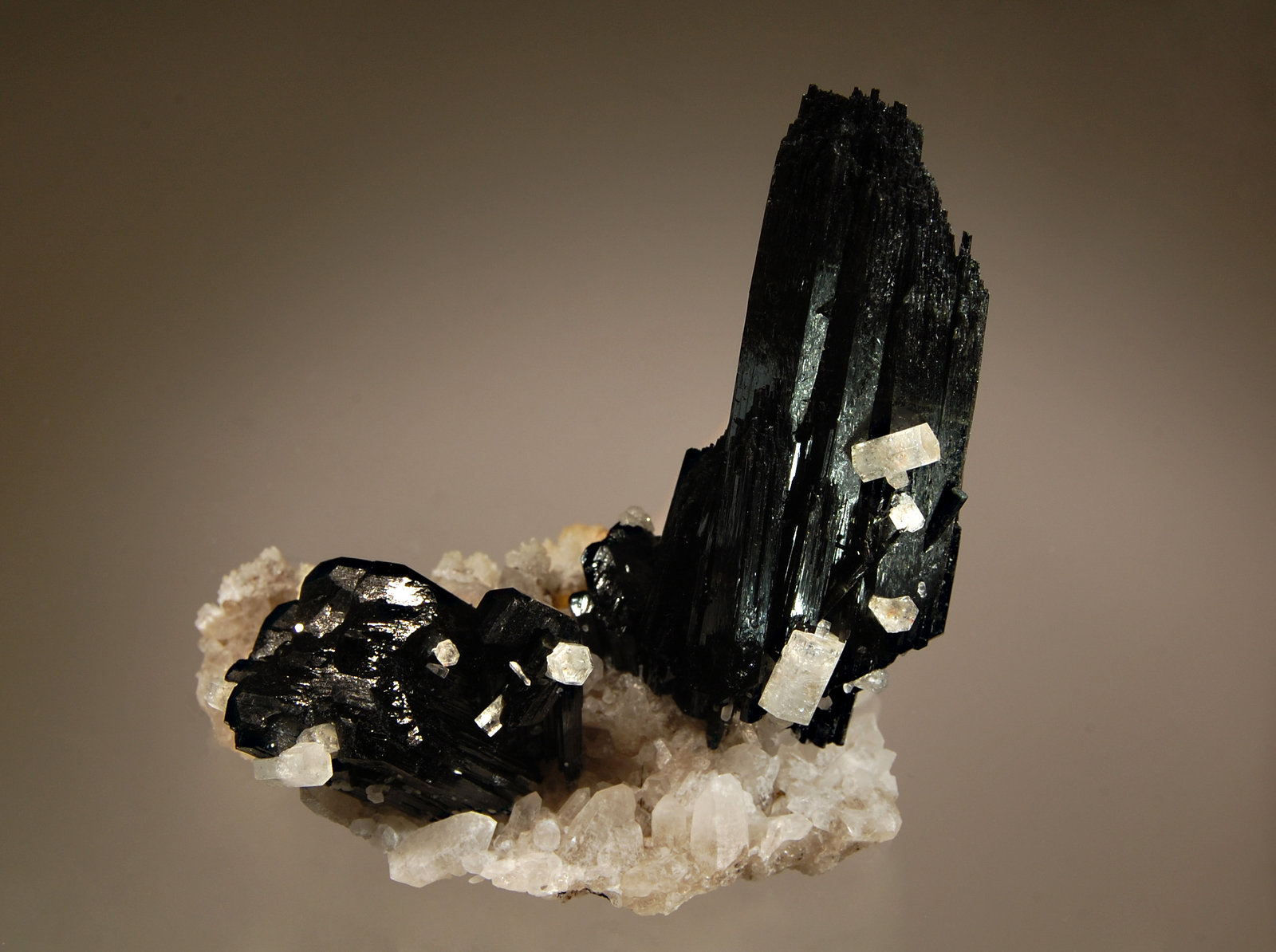 Schorl
5.6 x 9.1 cm
(Autor: Michael Shaw)