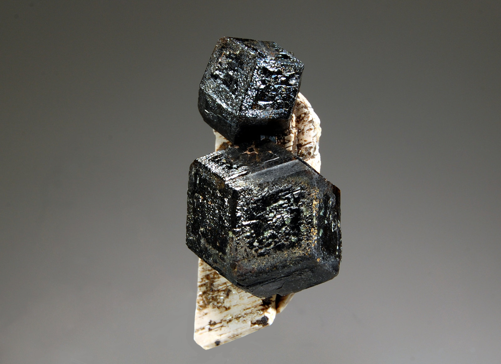 Andradite
3.7 cm
(Autor: Michael Shaw)
