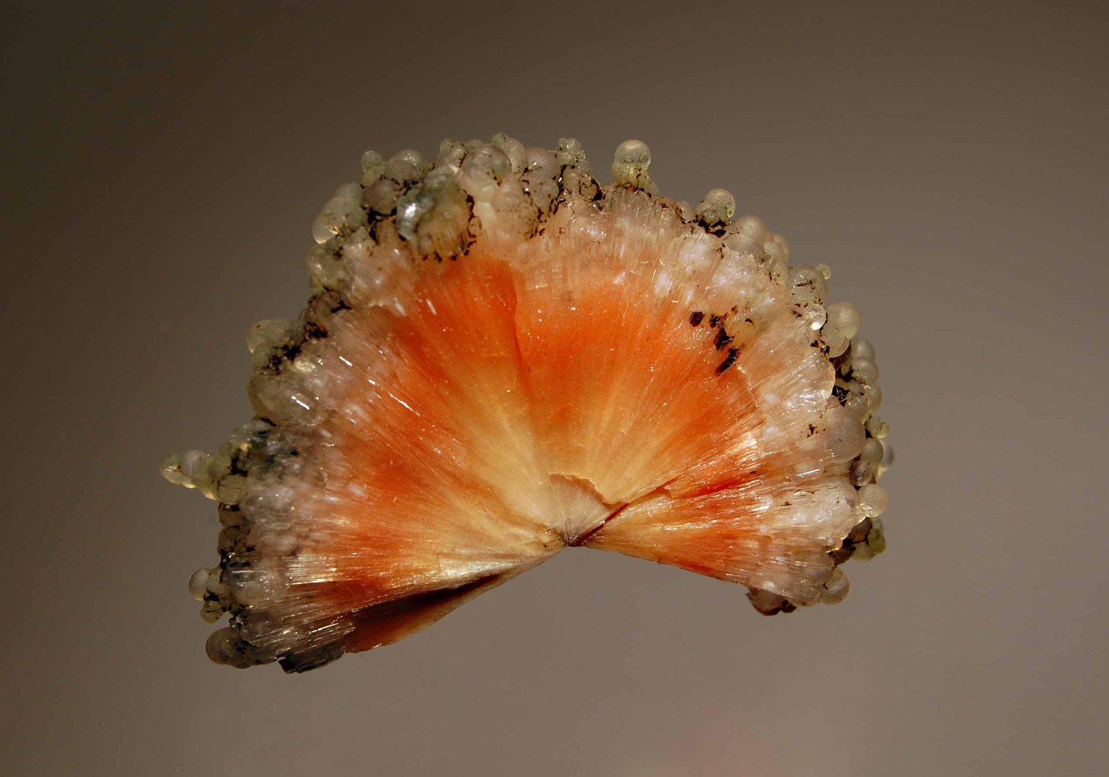 Scolecite
3.6 x 4.7 cm
(Autor: Michael Shaw)