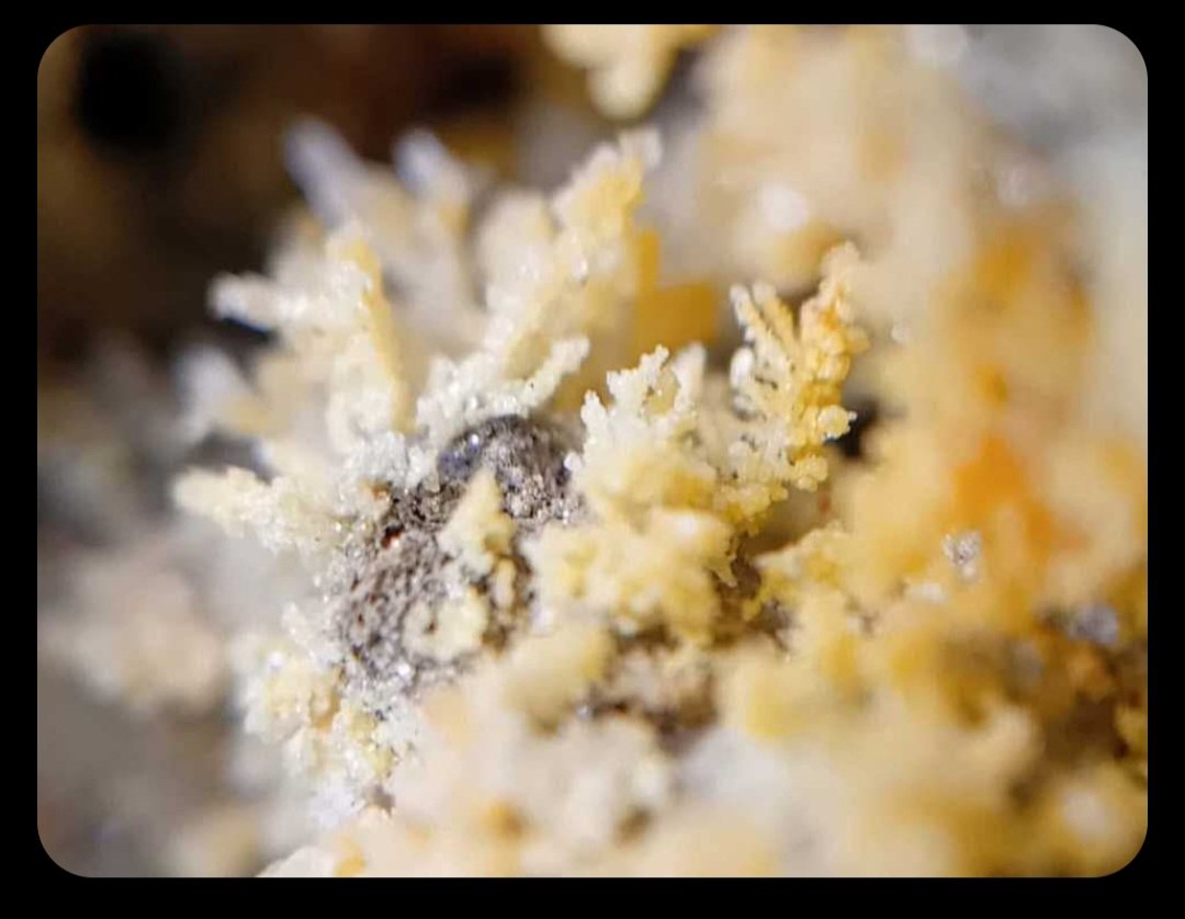 Steropesite
0.5-1 mm
(Autor: mineralenzo)
