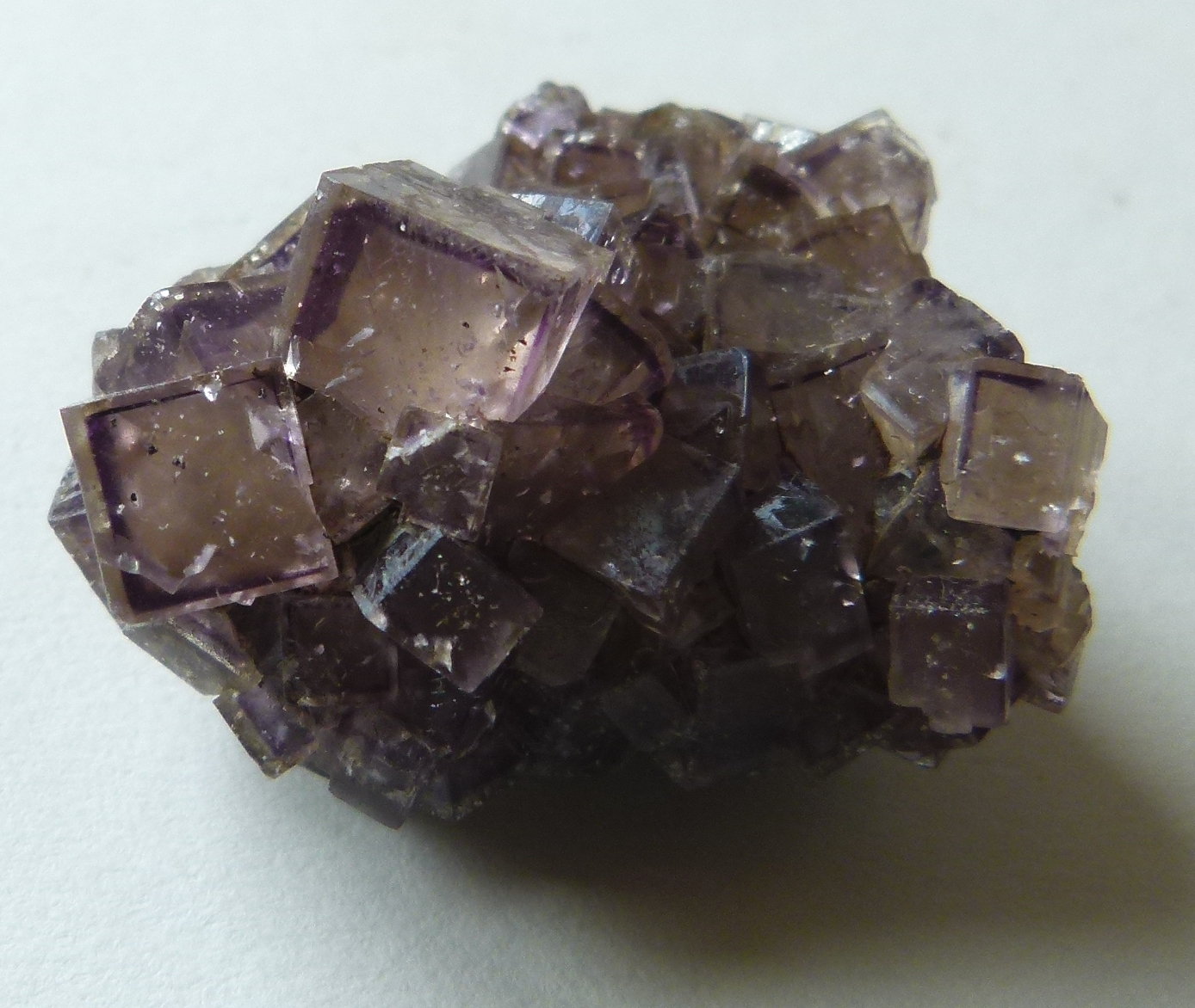 Fluorite
4cm
(Autor: colin robinson)