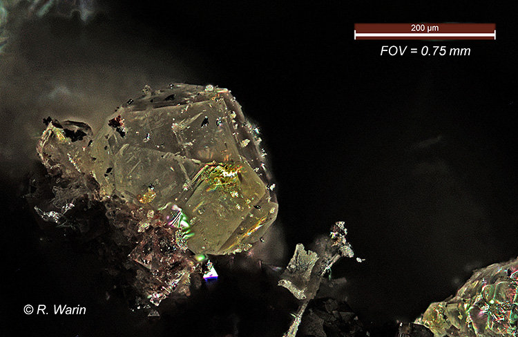 Senarmontite
< 1 mm
(Autor: Roger Warin)